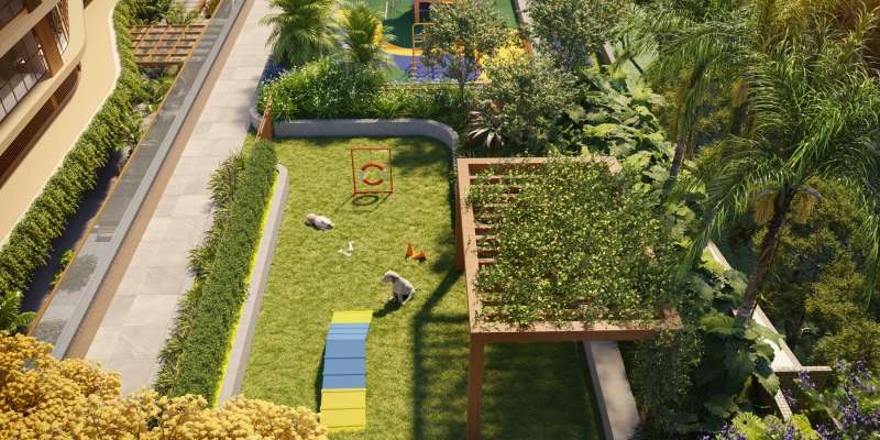 PERSPECTIVA ILUSTRATIVA DO PET PLACE